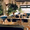 Ristoranti - Ristorante Terra del Fuoco